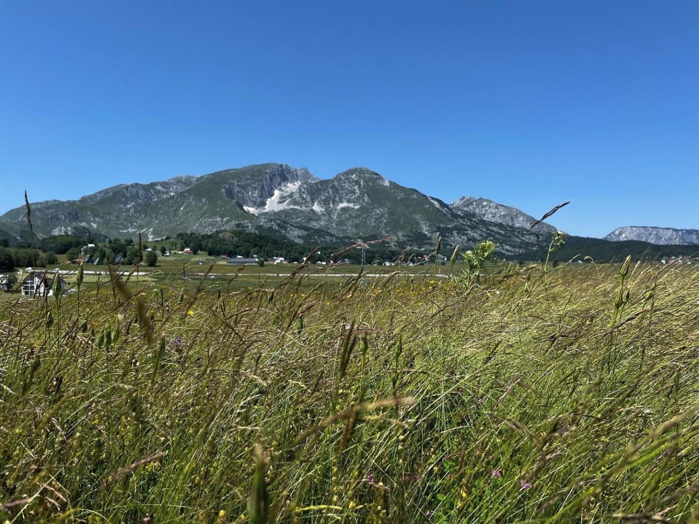 Mountain Peaceful Cottages Žabljak Extérieur photo